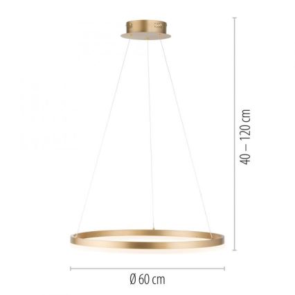 Paul Neuhaus 2382-60 - LED Stmievateľný luster na lanku TITUS LED/38,5W/230V