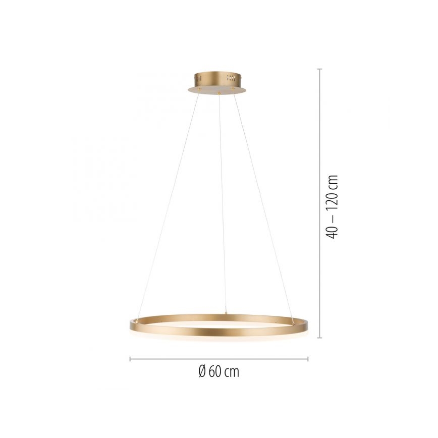 Paul Neuhaus 2382-60 - LED Stmievateľný luster na lanku TITUS LED/38,5W/230V