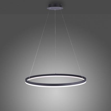 Paul Neuhaus 2383-13 - LED Stmievateľný luster na lanku TITUS LED/50W/230V