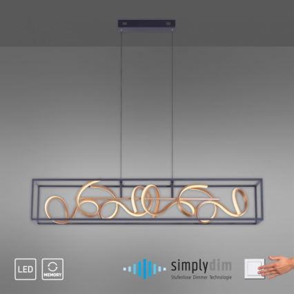 Paul Neuhaus 2416-18 - LED Stmievateľný luster na lanku SELINA 4xLED/10,2W/230V