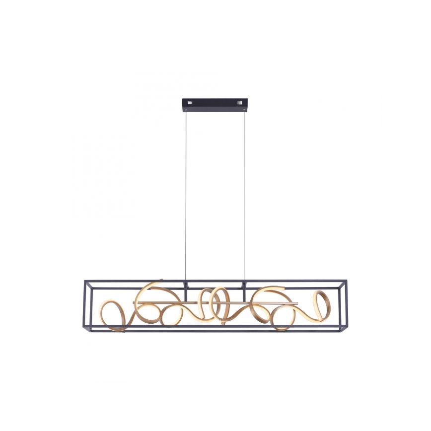 Paul Neuhaus 2416-18 - LED Stmievateľný luster na lanku SELINA 4xLED/10,2W/230V