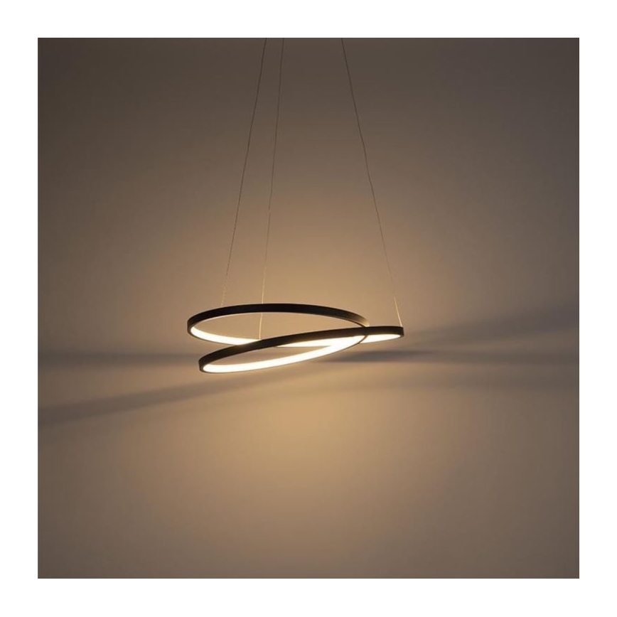 Paul Neuhaus 2472-18 - LED Stmievateľný luster na lanku ROMAN LED/30W/230V čierna