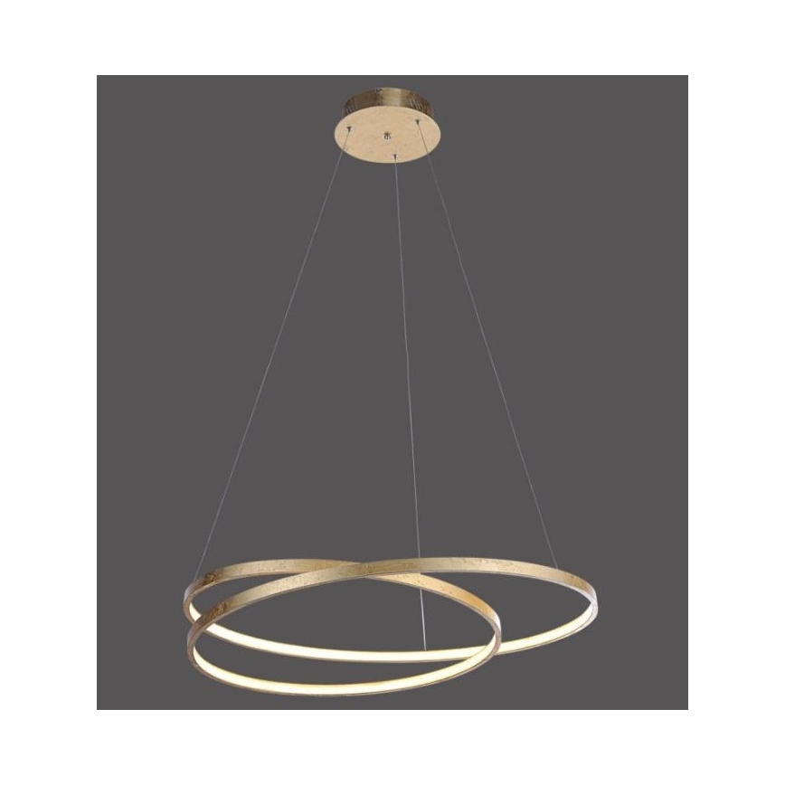Paul Neuhaus 2474-12 - LED Stmievateľný luster na lanku ROMAN LED/40W/230V zlatá