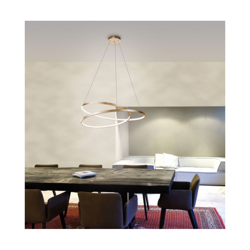 Paul Neuhaus 2474-12 - LED Stmievateľný luster na lanku ROMAN LED/40W/230V zlatá