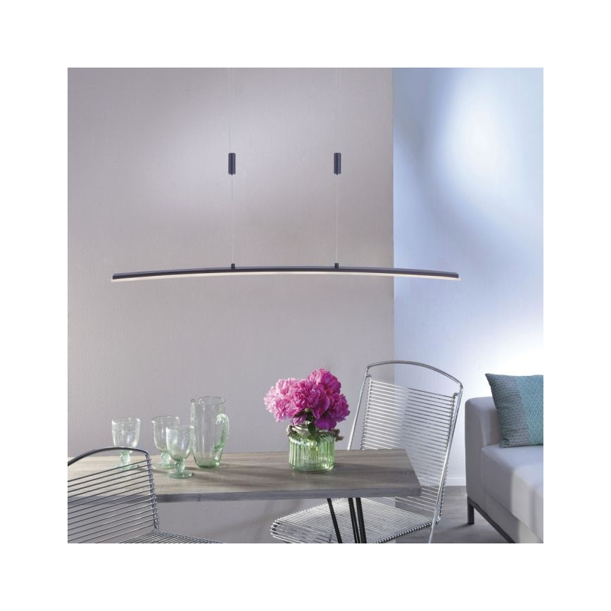 Paul Neuhaus 2530-13 - LED Stmievateľný luster na lanku JANINA LED/27W/230V