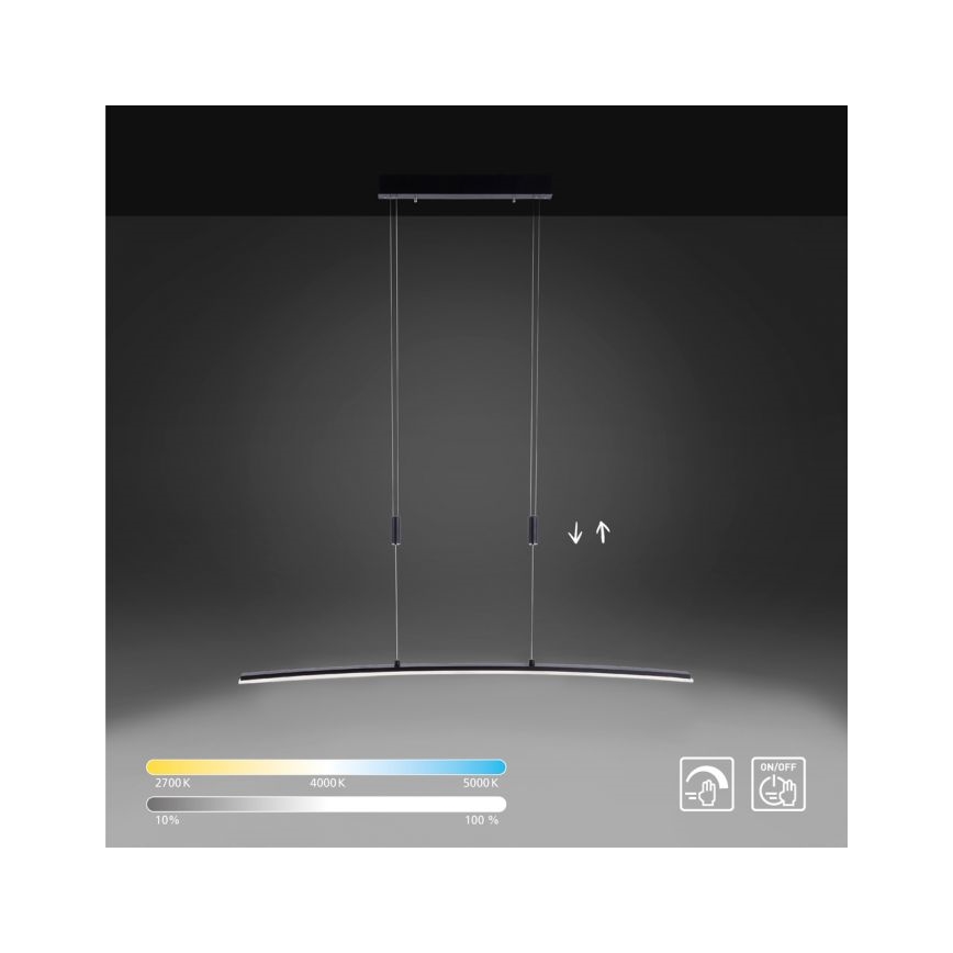 Paul Neuhaus 2530-13 - LED Stmievateľný luster na lanku JANINA LED/27W/230V