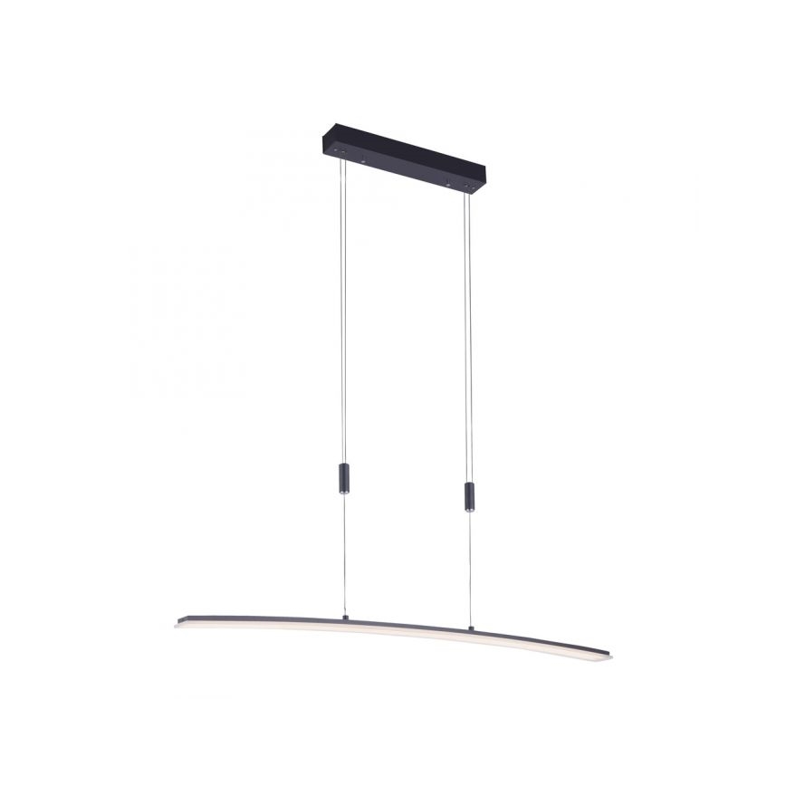 Paul Neuhaus 2530-13 - LED Stmievateľný luster na lanku JANINA LED/27W/230V