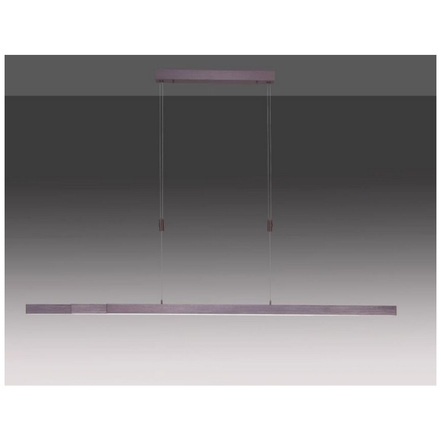 Paul Neuhaus 2568-24 - LED Stmievateľný luster na lanku ADRIANA LED/14W/230V 2700-5000K