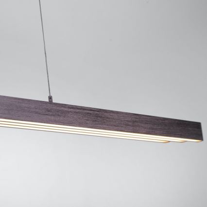 Paul Neuhaus 2568-24 - LED Stmievateľný luster na lanku ADRIANA LED/14W/230V 2700-5000K