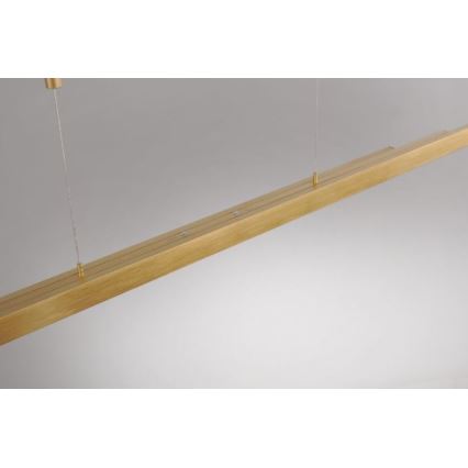 Paul Neuhaus 2568-60 - LED Stmievateľný luster na lanku ADRIANA LED/14W/230V  2700-5000K mosadz