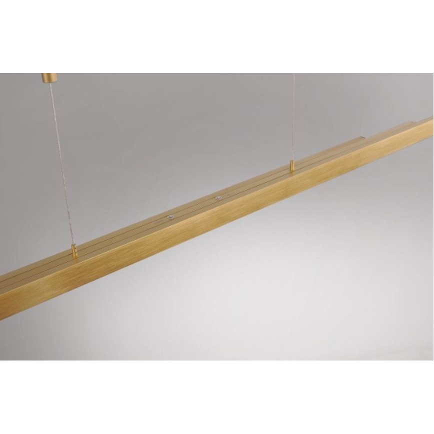 Paul Neuhaus 2568-60 - LED Stmievateľný luster na lanku ADRIANA LED/14W/230V  2700-5000K mosadz