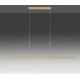 Paul Neuhaus 2568-60 - LED Stmievateľný luster na lanku ADRIANA LED/14W/230V  2700-5000K mosadz