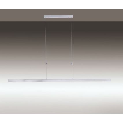 Paul Neuhaus 2568-95 - LED Stmievateľný luster na lanku ADRIANA LED/14W/230V 2700-5000K matný chróm