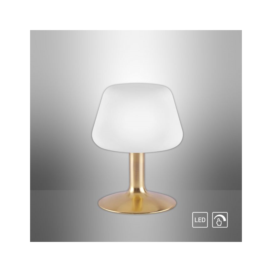 Paul Neuhaus 4078-60 - LED Stmievateľná dotyková stolná lampa TILL 1xG9/3W/230V mosadz
