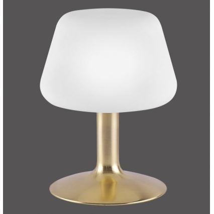 Paul Neuhaus 4078-60 - LED Stmievateľná dotyková stolná lampa TILL 1xG9/3W/230V mosadz