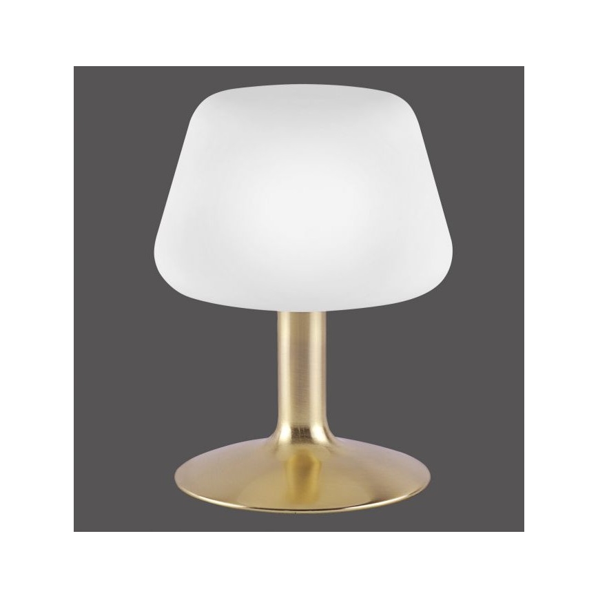 Paul Neuhaus 4078-60 - LED Stmievateľná dotyková stolná lampa TILL 1xG9/3W/230V mosadz