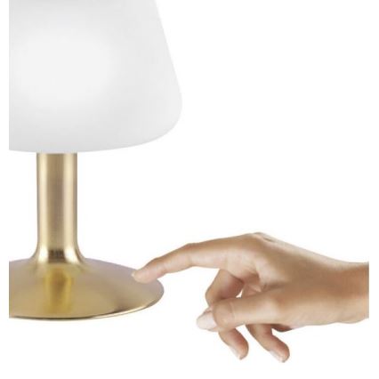 Paul Neuhaus 4078-60 - LED Stmievateľná dotyková stolná lampa TILL 1xG9/3W/230V mosadz