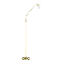 Paul Neuhaus 430-60 - LED Stmievateľná dotyková stojacia lampa  PINO 1xG9/28W/230V zlatá