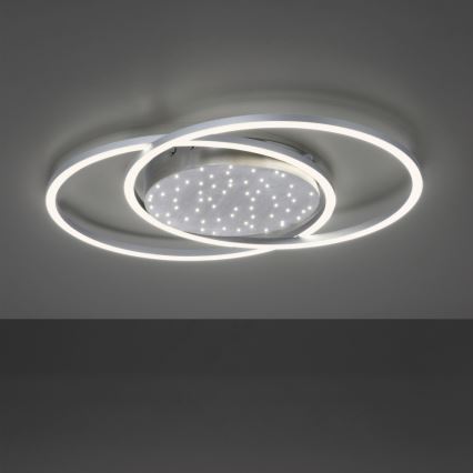 Paul Neuhaus 6025-55 - LED Stmievateľné stropné svietidlo YUKI LED/48W/230V + diaľkové ovládanie