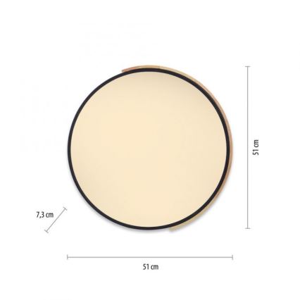 Paul Neuhaus 6071-18 - LED Stmievateľné stropné svietidlo Q-PIATO LED/35W/230V pr. 51 cm 2700-5000K Wi-Fi + diaľkové ovládanie