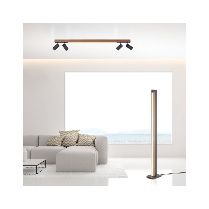 Paul Neuhaus 6121-79 - LED Stmievateľné bodové svietidlo PURE 4xLED/4W/230V + LED/9W 2700-5000K + diaľkové ovládanie