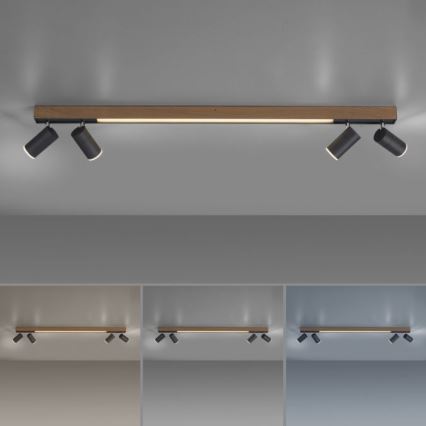 Paul Neuhaus 6121-79 - LED Stmievateľné bodové svietidlo PURE 4xLED/4W/230V + LED/9W 2700-5000K + diaľkové ovládanie