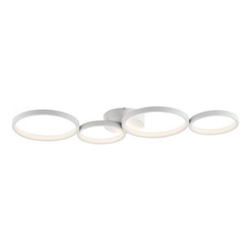Paul Neuhaus 6183-16 - LED Stmievateľné stropné svietidlo KIRINGE LED/26W/230V