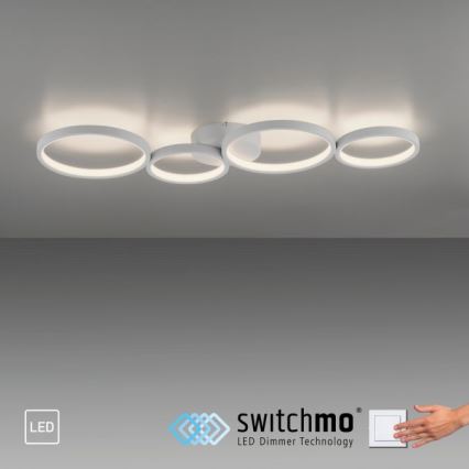 Paul Neuhaus 6183-16 - LED Stmievateľné stropné svietidlo KIRINGE LED/26W/230V