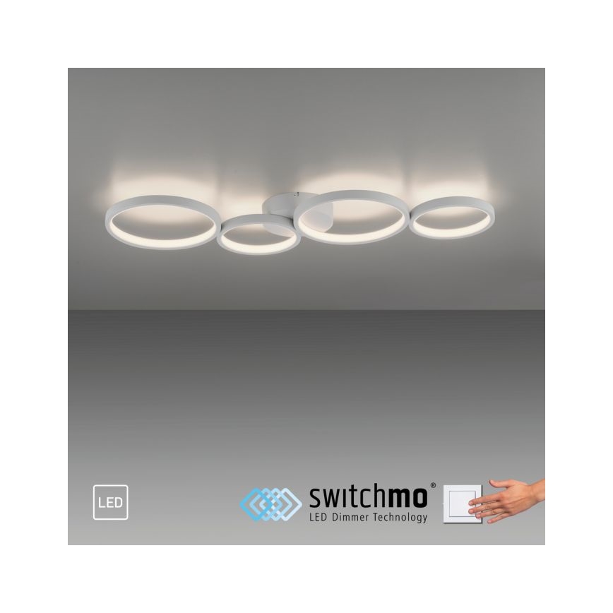 Paul Neuhaus 6183-16 - LED Stmievateľné stropné svietidlo KIRINGE LED/26W/230V