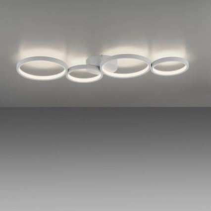 Paul Neuhaus 6183-16 - LED Stmievateľné stropné svietidlo KIRINGE LED/26W/230V