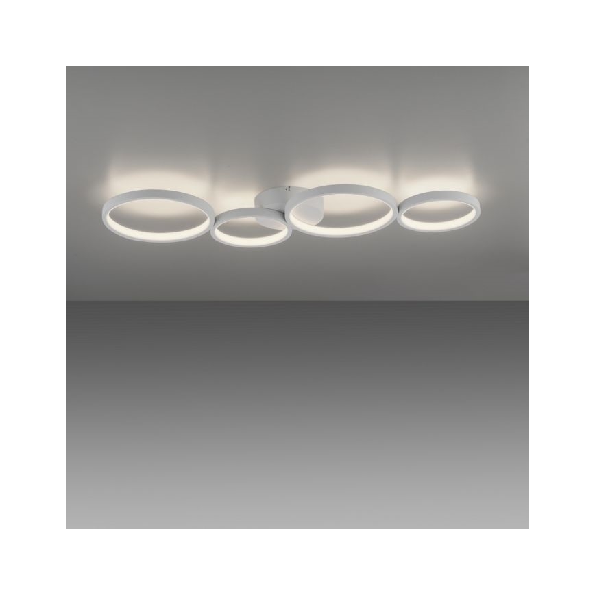 Paul Neuhaus 6183-16 - LED Stmievateľné stropné svietidlo KIRINGE LED/26W/230V