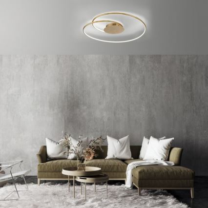 Paul Neuhaus 6189-12 - LED Stmievateľné stropné svietidlo NASTRO LED/26W/230V