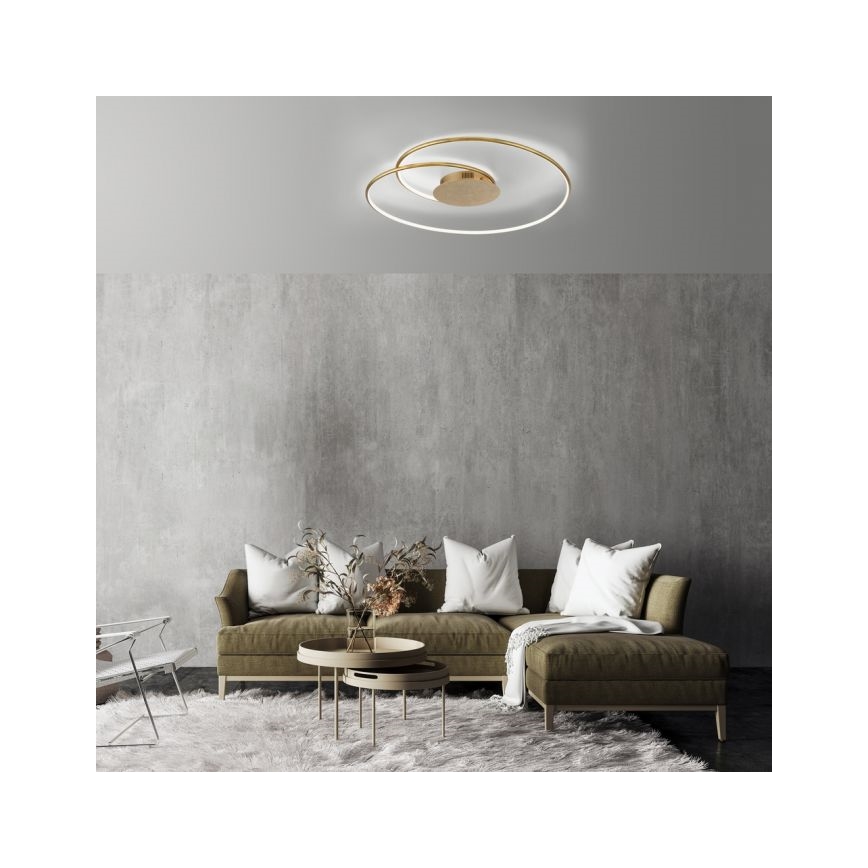 Paul Neuhaus 6189-12 - LED Stmievateľné stropné svietidlo NASTRO LED/26W/230V