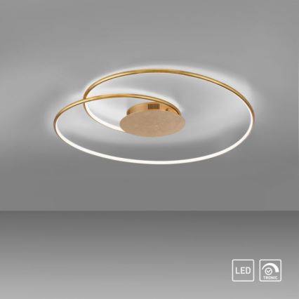 Paul Neuhaus 6189-12 - LED Stmievateľné stropné svietidlo NASTRO LED/26W/230V