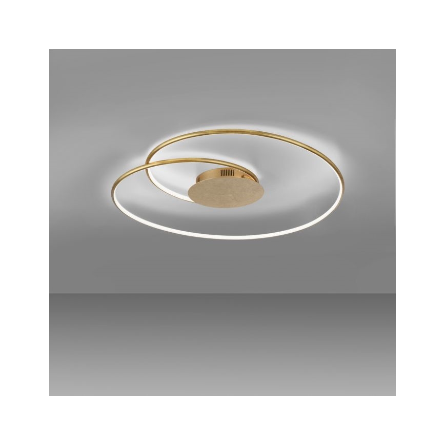 Paul Neuhaus 6189-12 - LED Stmievateľné stropné svietidlo NASTRO LED/26W/230V