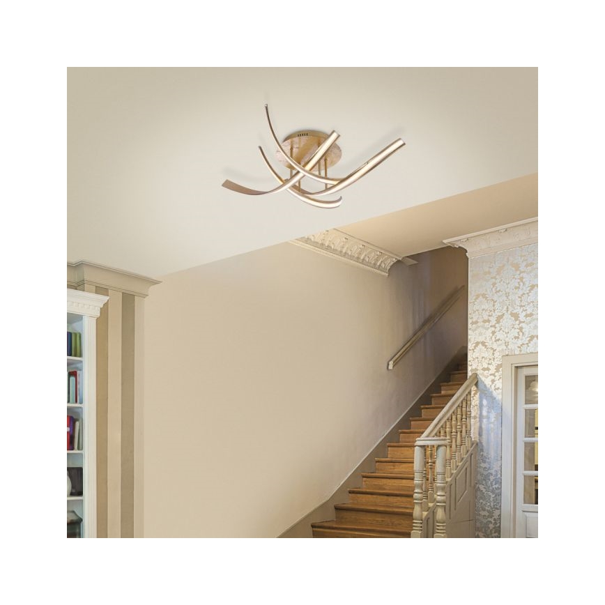 Paul Neuhaus 6474-12 - LED Stmievateľný prisadený luster LINDA 4xLED/7W/230V