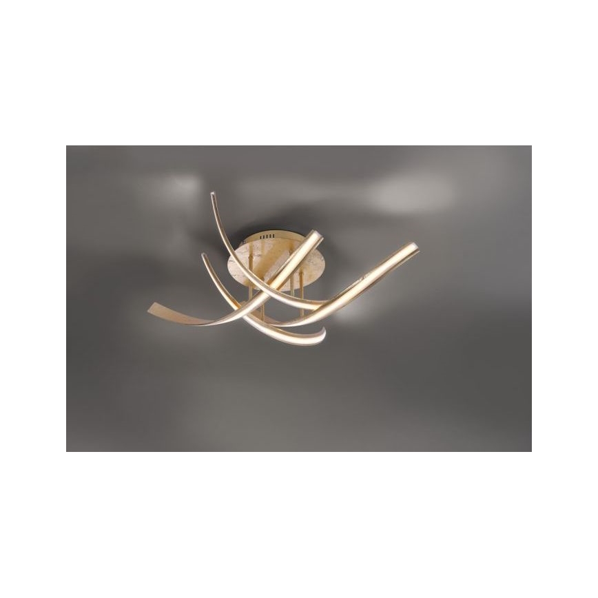 Paul Neuhaus 6474-12 - LED Stmievateľný prisadený luster LINDA 4xLED/7W/230V