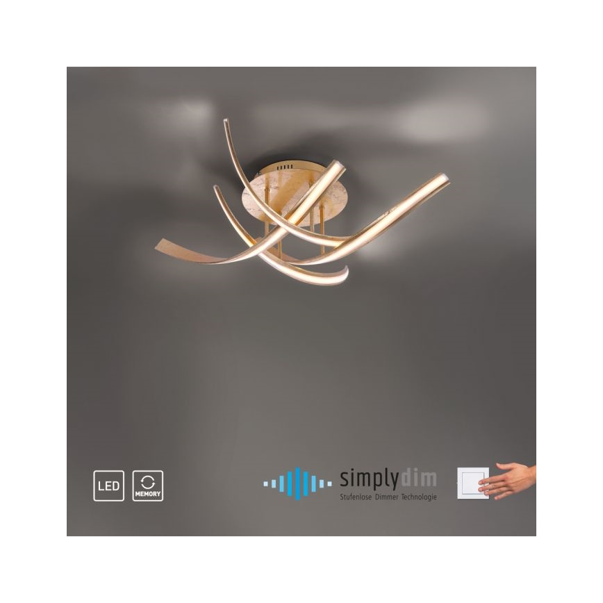 Paul Neuhaus 6474-12 - LED Stmievateľný prisadený luster LINDA 4xLED/7W/230V