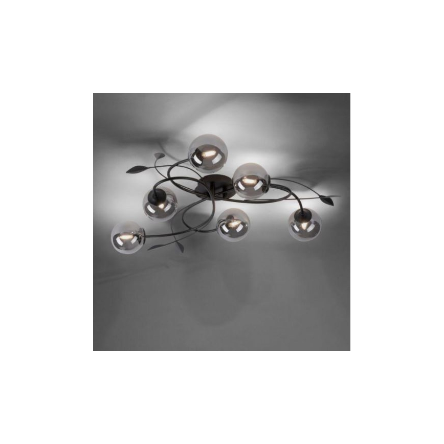 Paul Neuhaus 6737-18 - LED Prisadený luster WIDOW 6xG9/3W/230V