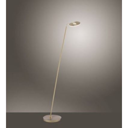 Stojacia lampa s vysokou kovovou tyčou a kruhovou hlavou svieti. Je umiestnená na svetlohnedej podlahe pred neutrálnou stenou.
