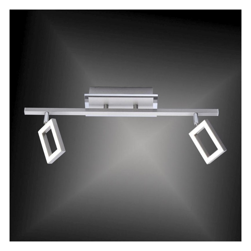 Paul Neuhaus 6958-55 - LED Bodové svietidlo INIGO 2xLED/4,2W/230V