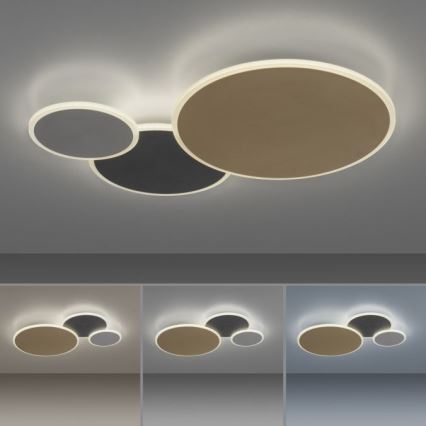 Paul Neuhaus 8007-70 - LED Stmievateľné stropné svietidlo Q-PIATO LED/35W/230V 2700-5000K Wi-Fi + diaľkové ovládanie