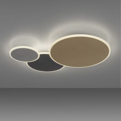 Paul Neuhaus 8007-70 - LED Stmievateľné stropné svietidlo Q-PIATO LED/35W/230V 2700-5000K Wi-Fi + diaľkové ovládanie