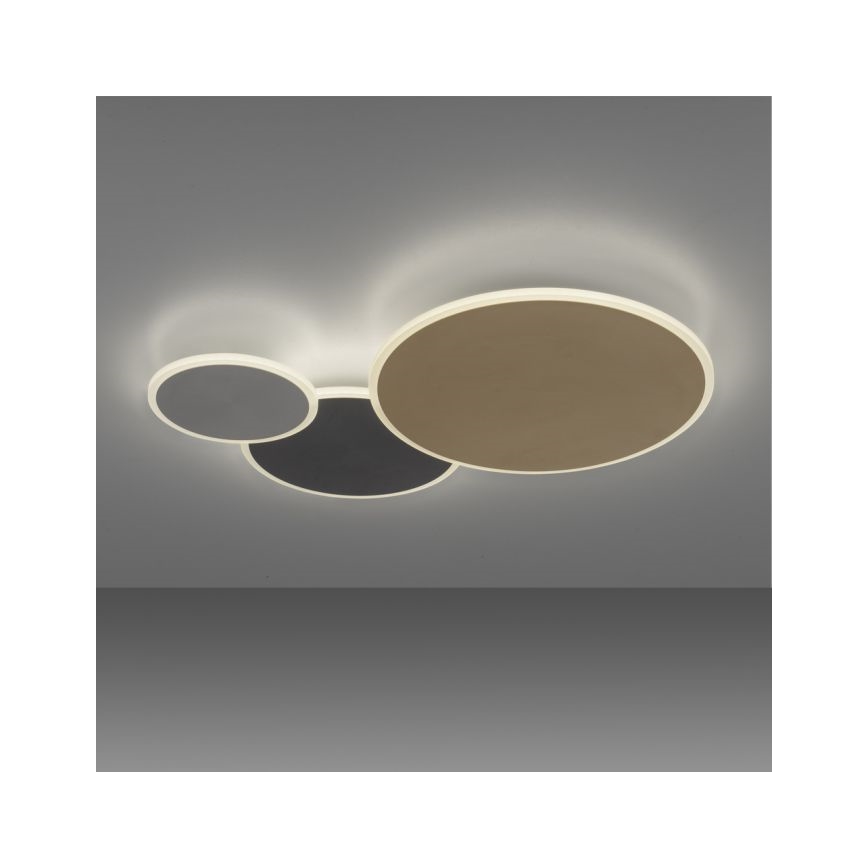 Paul Neuhaus 8007-70 - LED Stmievateľné stropné svietidlo Q-PIATO LED/35W/230V 2700-5000K Wi-Fi + diaľkové ovládanie