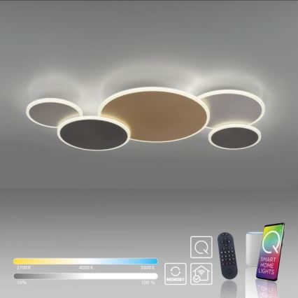 Paul Neuhaus 8008-70 - LED Stmievateľné stropné svietidlo Q-PIATO LED/49W/230V 2700-5000K Wi-Fi + diaľkové ovládanie
