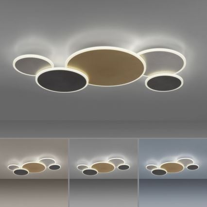 Paul Neuhaus 8008-70 - LED Stmievateľné stropné svietidlo Q-PIATO LED/49W/230V 2700-5000K Wi-Fi + diaľkové ovládanie