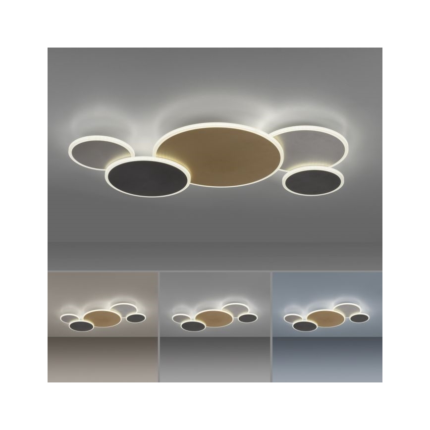 Paul Neuhaus 8008-70 - LED Stmievateľné stropné svietidlo Q-PIATO LED/49W/230V 2700-5000K Wi-Fi + diaľkové ovládanie