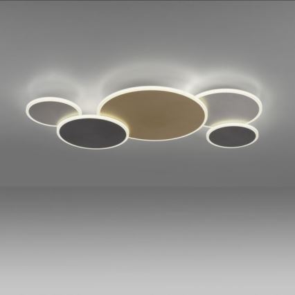 Paul Neuhaus 8008-70 - LED Stmievateľné stropné svietidlo Q-PIATO LED/49W/230V 2700-5000K Wi-Fi + diaľkové ovládanie