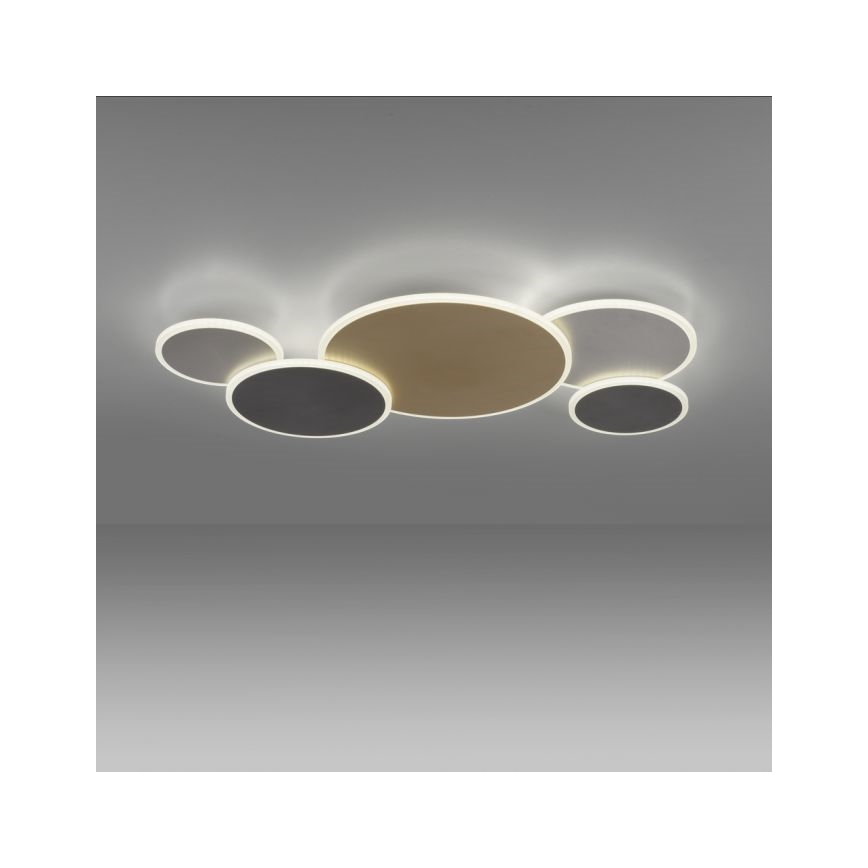 Paul Neuhaus 8008-70 - LED Stmievateľné stropné svietidlo Q-PIATO LED/49W/230V 2700-5000K Wi-Fi + diaľkové ovládanie