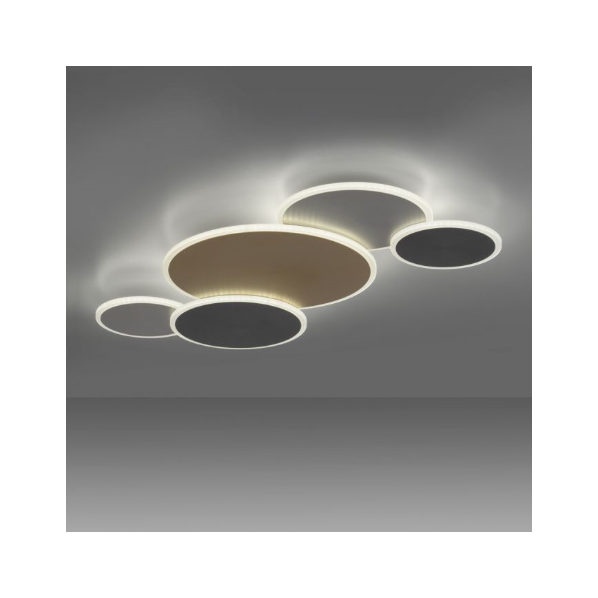 Paul Neuhaus 8008-70 - LED Stmievateľné stropné svietidlo Q-PIATO LED/49W/230V 2700-5000K Wi-Fi + diaľkové ovládanie